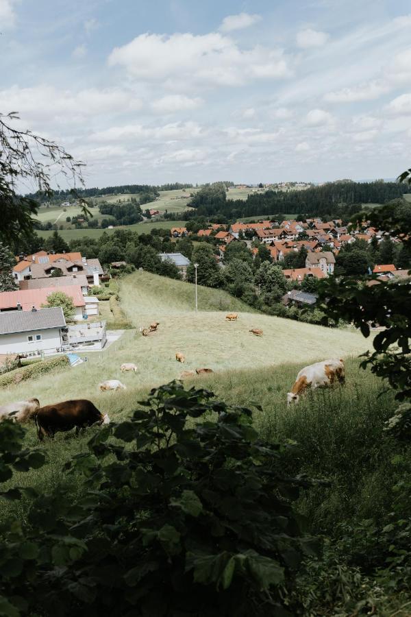 Ferienwohnung Alpenblick I Kamin I Private Sauna Wangen im Allgäu Esterno foto