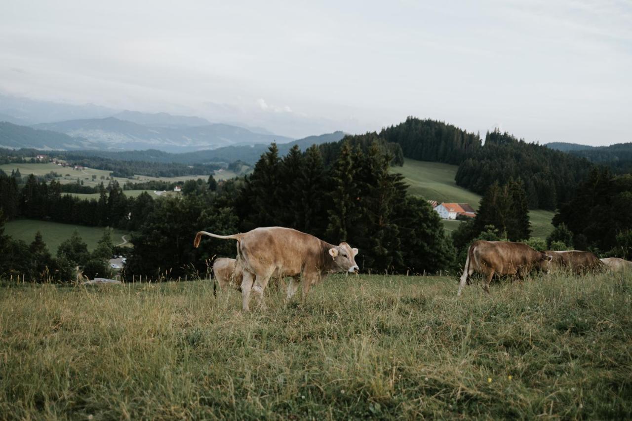Ferienwohnung Alpenblick I Kamin I Private Sauna Wangen im Allgäu Esterno foto